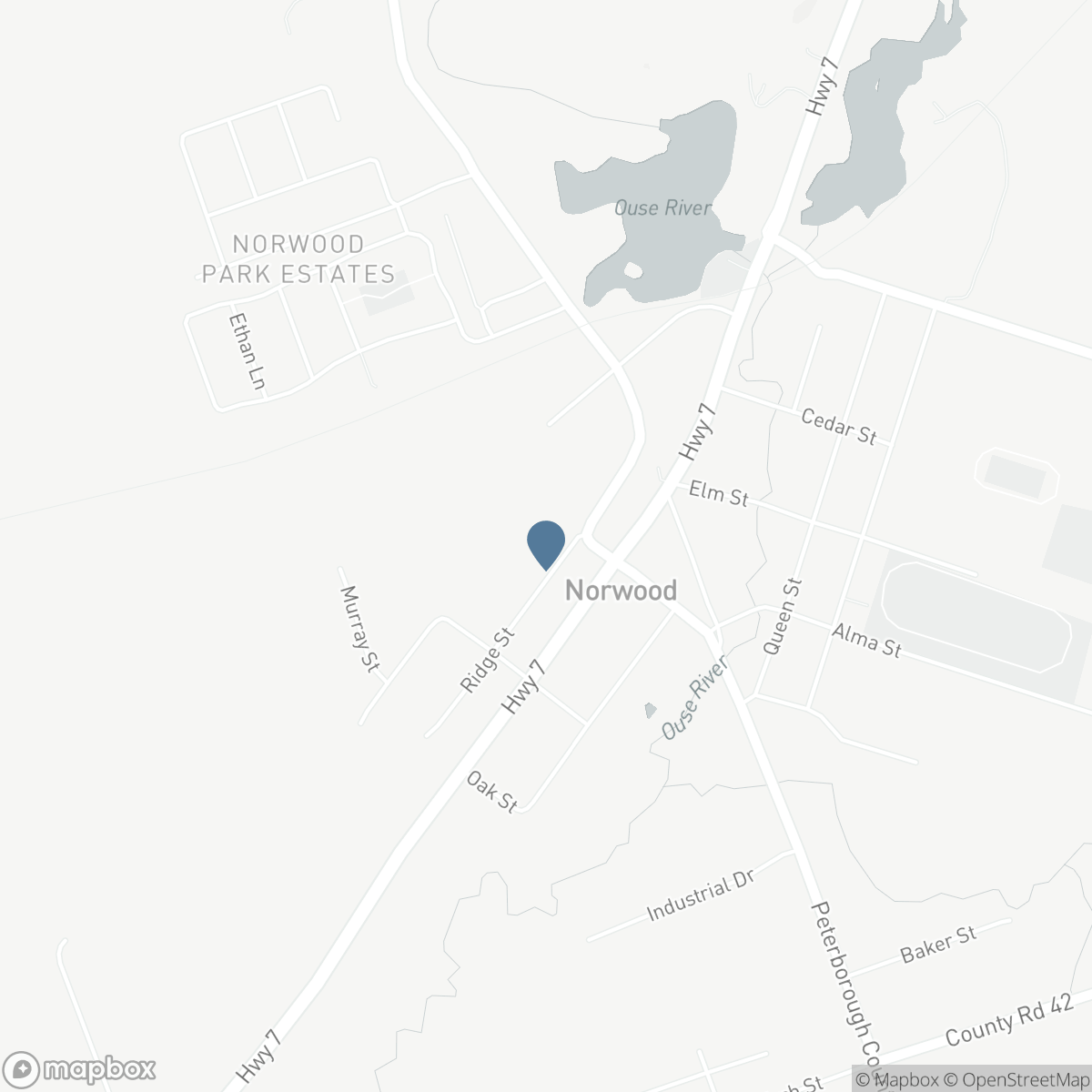 46 RIDGE STREET, Asphodel-Norwood, Ontario K0L 2V0